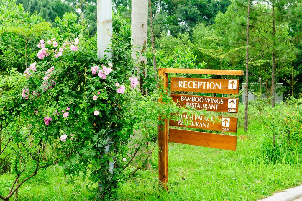Flamingo Dai Lai Resort Ngoc Quang Eksteriør billede